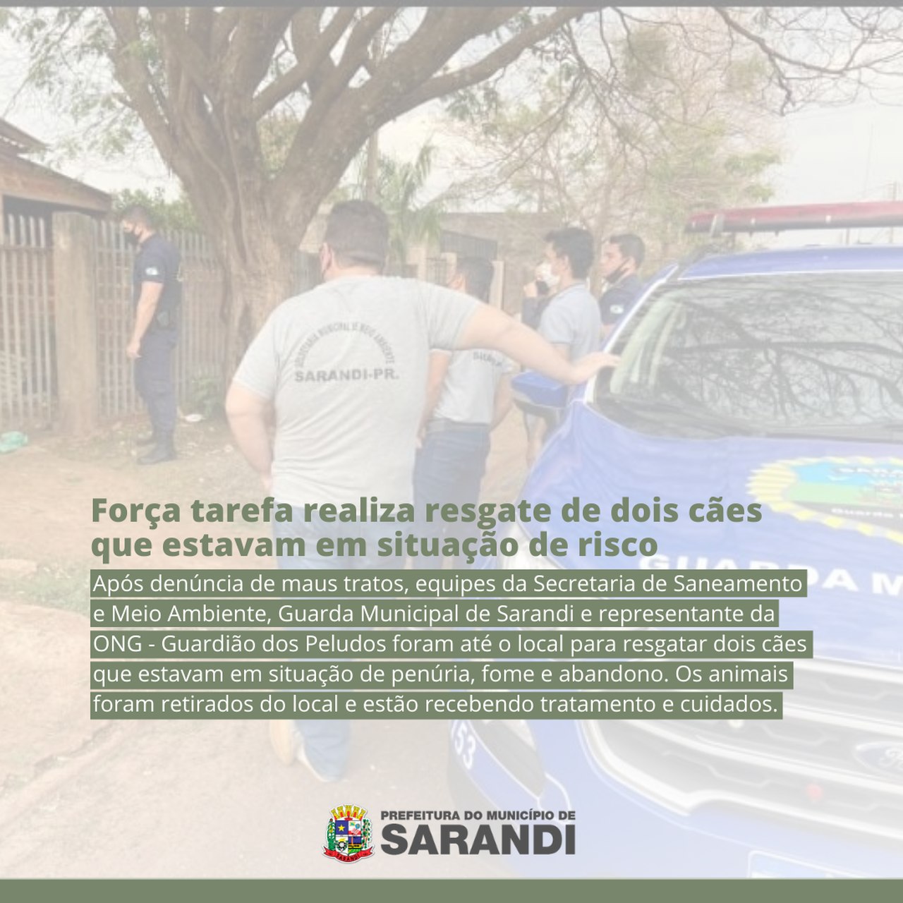 Força tarefa realiza resgate de dois cães que estavam em situação de risco